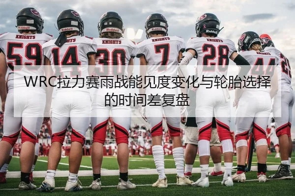 WRC拉力赛雨战能见度变化与轮胎选择的时间差复盘