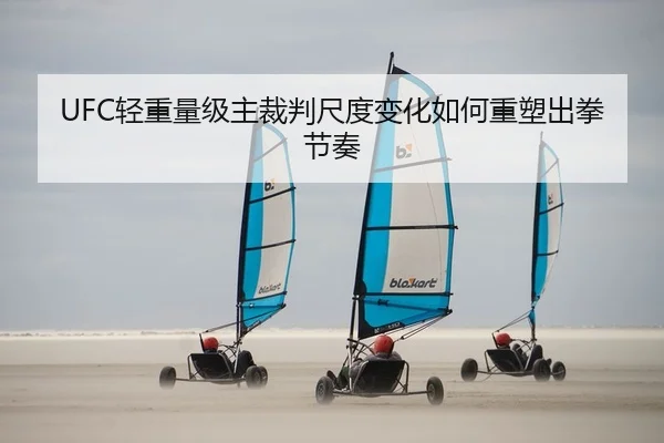 UFC轻重量级主裁判尺度变化如何重塑出拳节奏